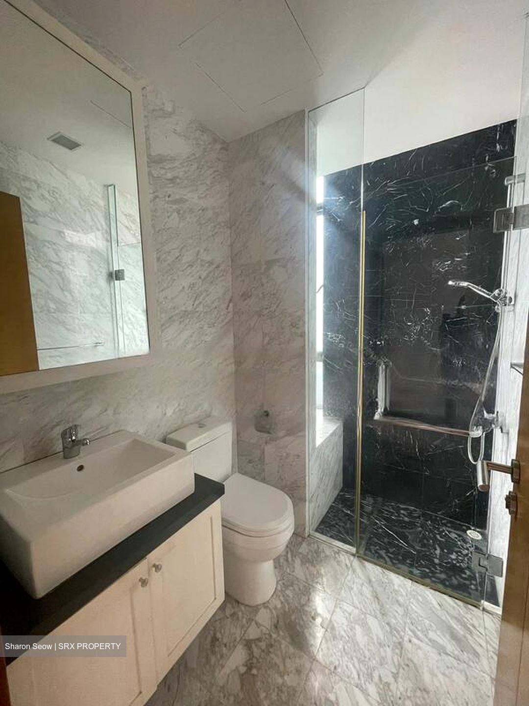 Cliften (D10), Apartment #481360981